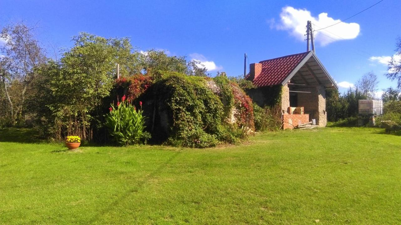 Domki Nad Jeziorem Rajgród Exteriör bild