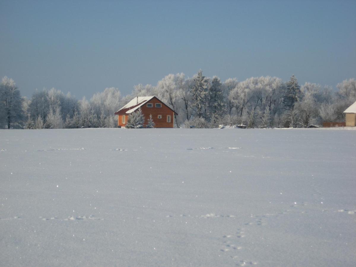 Domki Nad Jeziorem Rajgród Exteriör bild